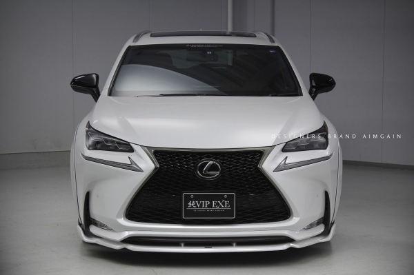 AIMGAIN LEXUS NX AGZ1# NX200t 純VIP EX フルキット 3点セット+LOOPマフラー