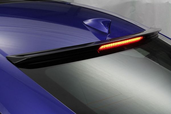 AIMGAIN LEXUS RC F USC10 純VIP SPORT ルーフスポイラー