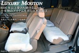 BRAHMS LUXURYムートンクッション 汎用