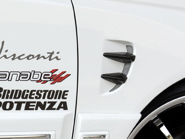 SCHTELT JAPAN RAオデッセイ フェンダーカーボンフィンダクト