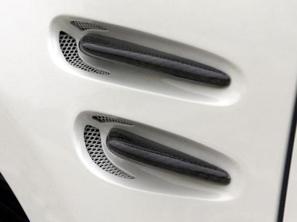 SCHTELT JAPAN エリシオン フェンダーカーボンフィンダクト