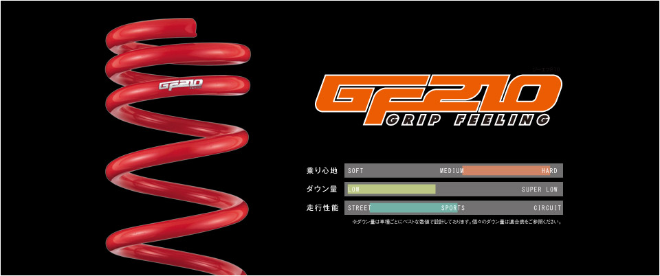 TANABE  シビック タイプR FK8 SUSTEC GF210