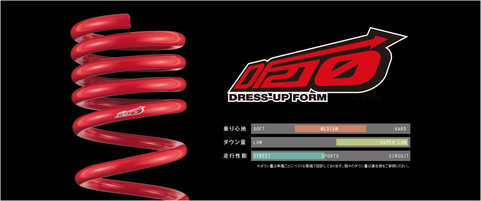 TANABE  フィット GK3 後期 SUSTEC DF210
