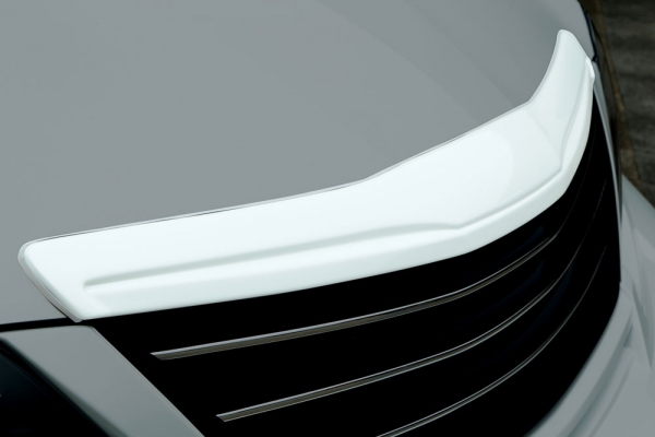 EXCLUSIVE ZEUS アルファード 20系 後期 EXE LINE フードトップモール